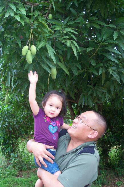 mango