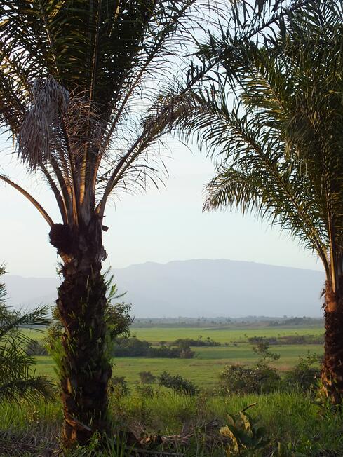 Cameroon